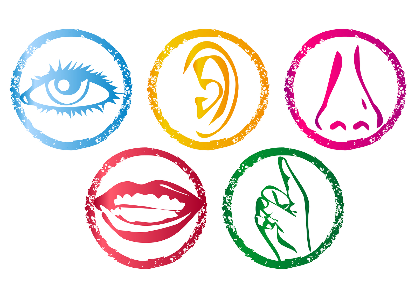 Our 5 Key Senses Flourish Marketing