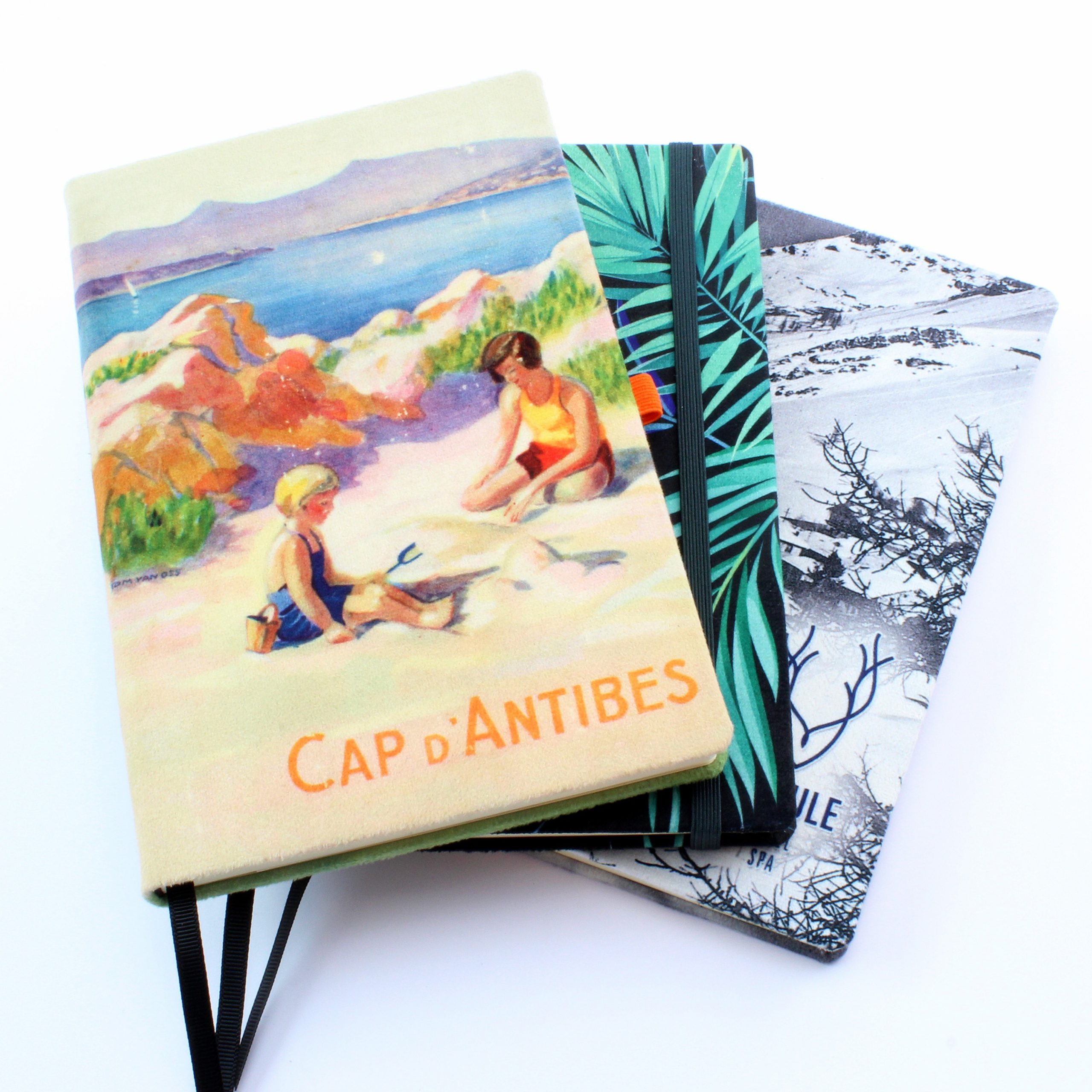 Velvet Notebooks Collection