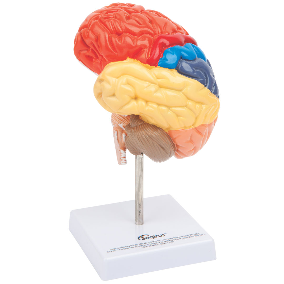 Healthcare Pain Program (1) Copy 2