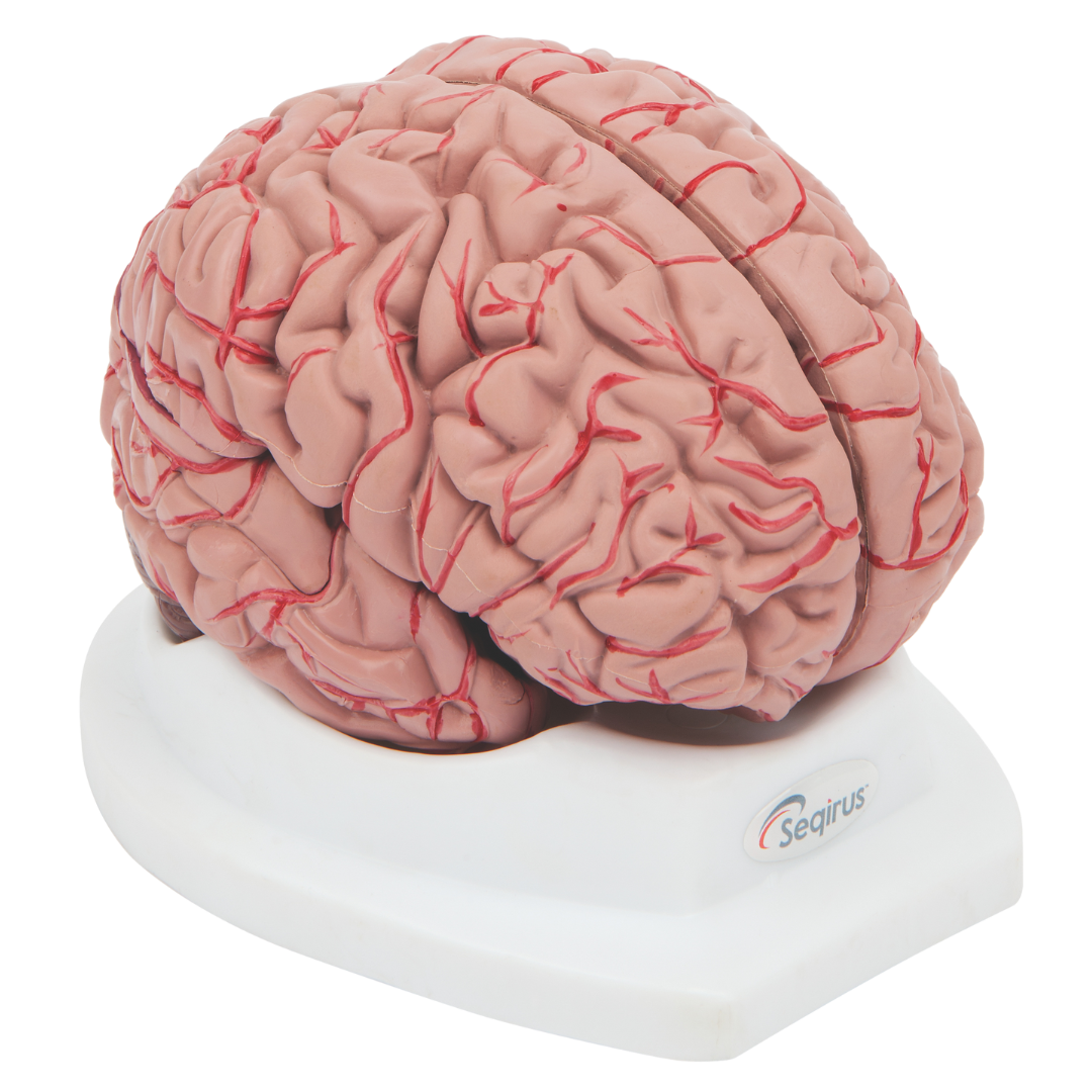 Healthcare Pain Program (1) Copy 3