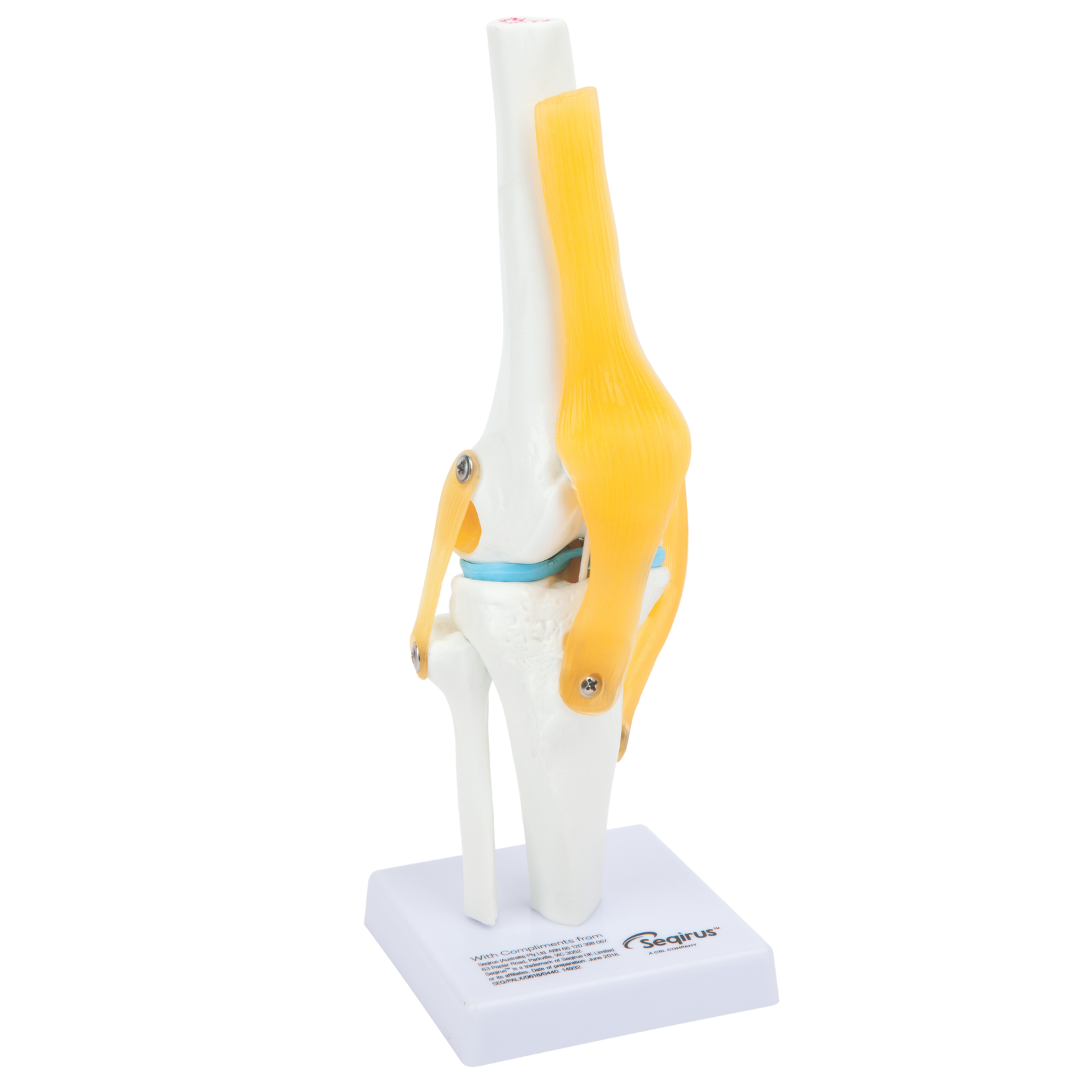 Healthcare Pain Program (1) Copy 4