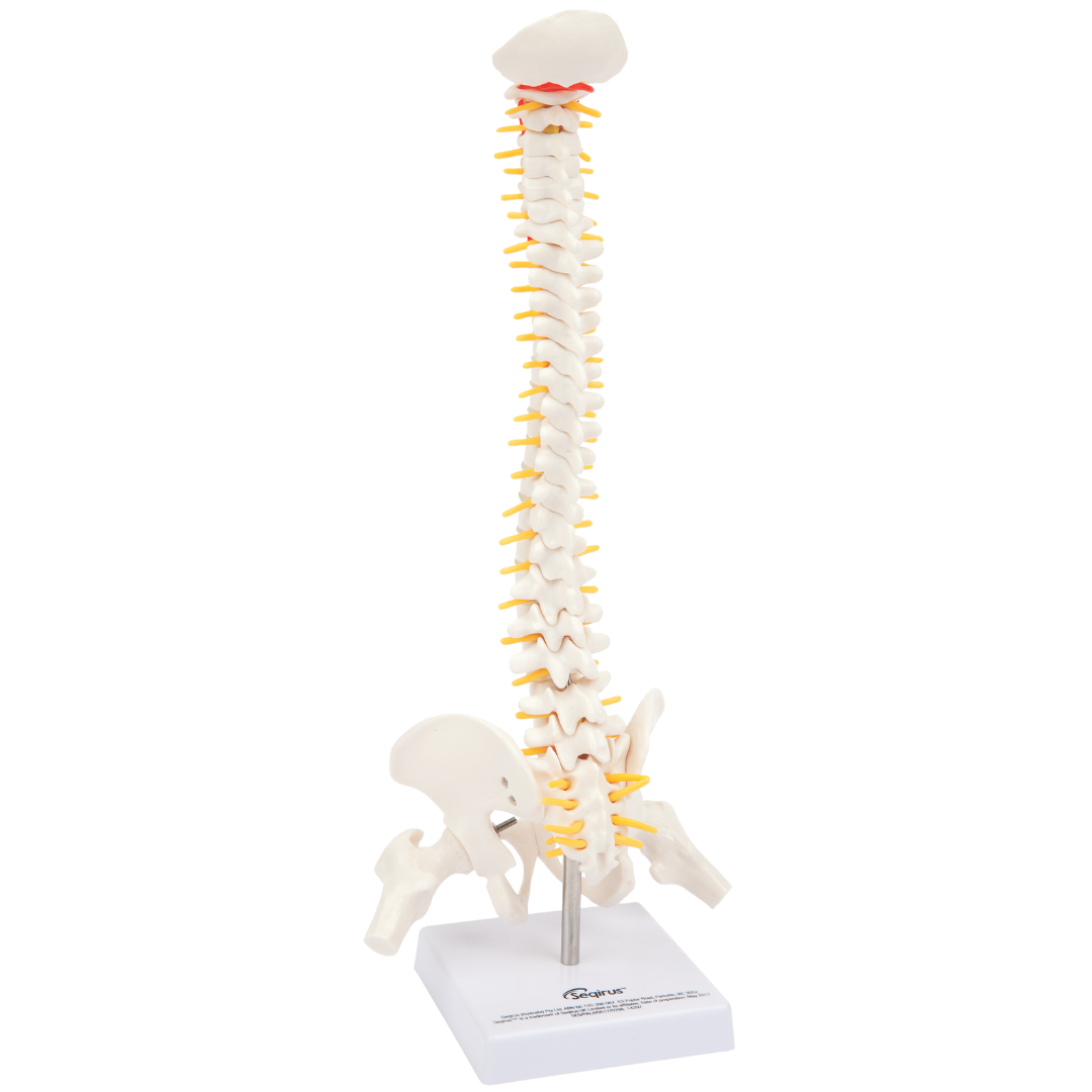 Healthcare Pain Program (1) Copy 5