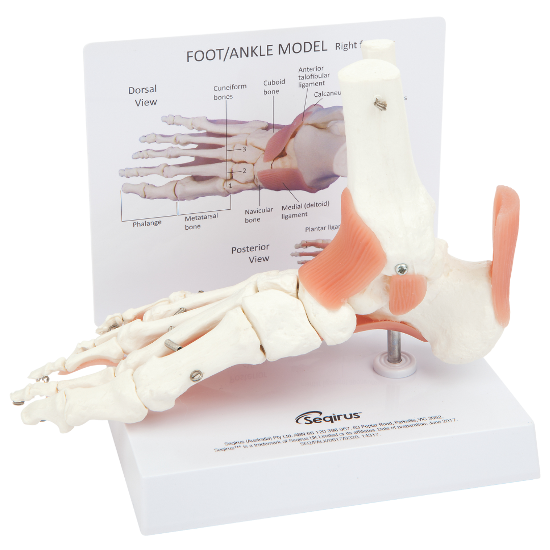 Healthcare Pain Program (1) Copy 6