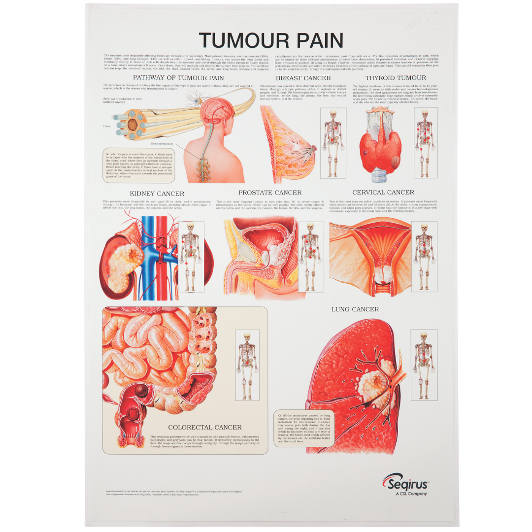 Healthcare Pain Program (1) Copy 8