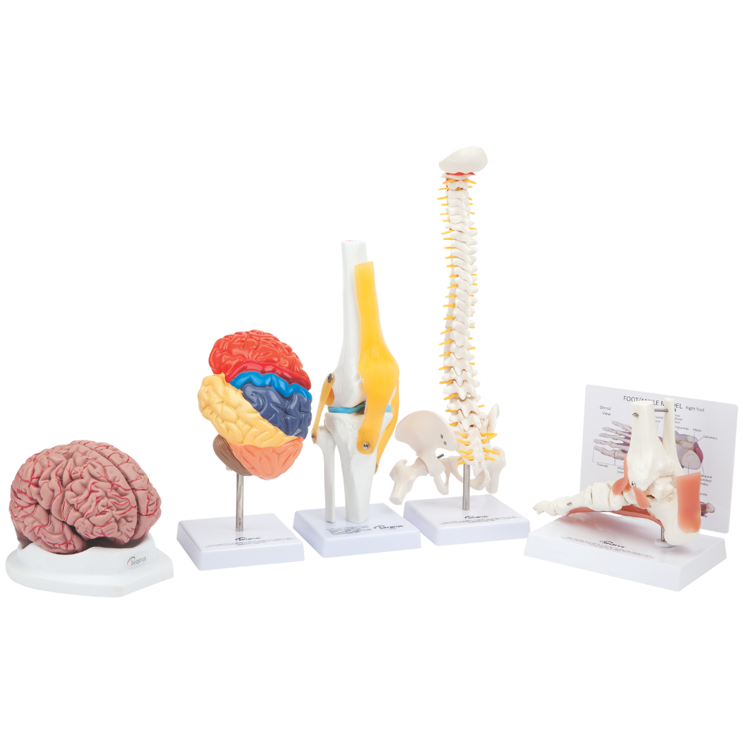 More Effective Pain Management