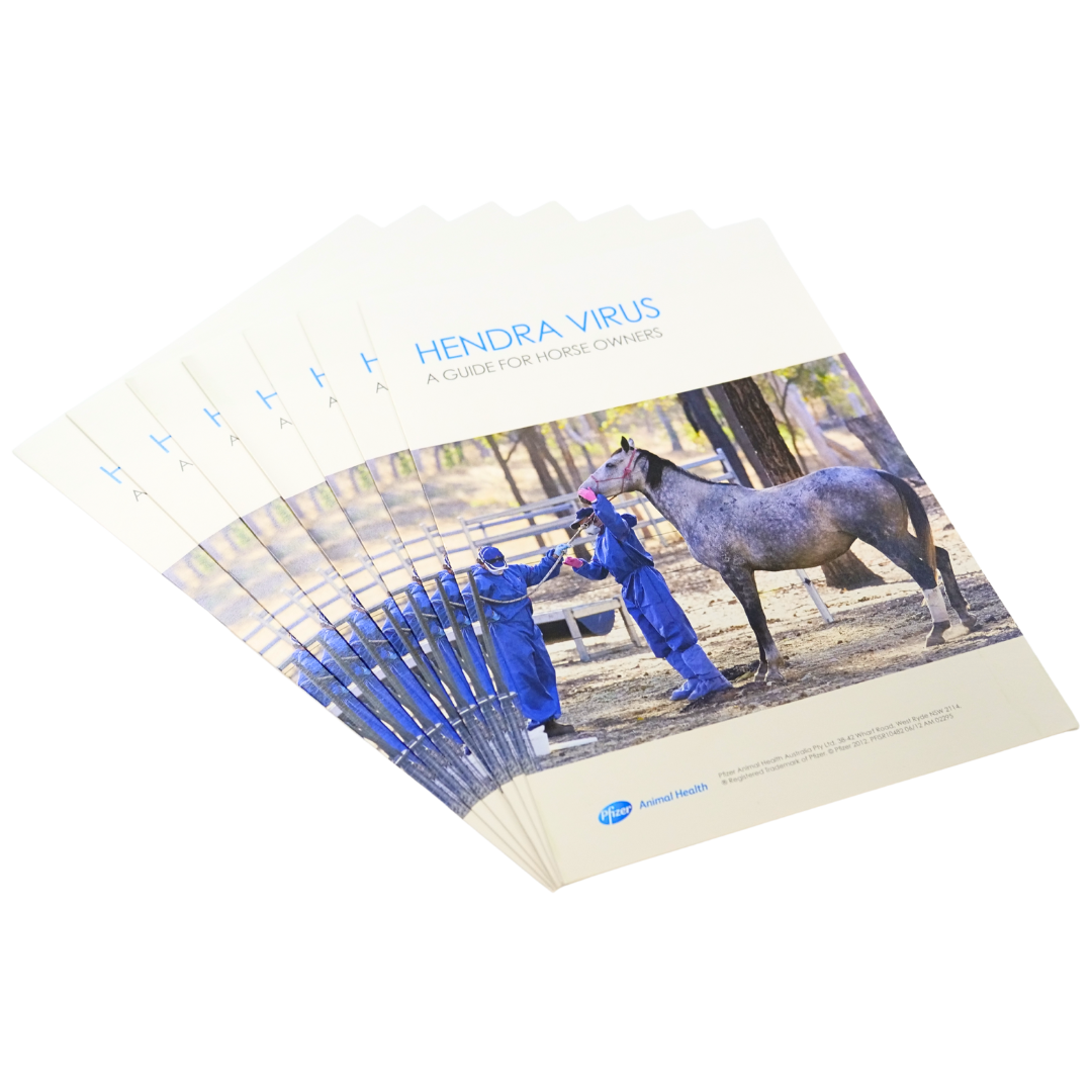 Hendra Virus Launch Pack Copy 4