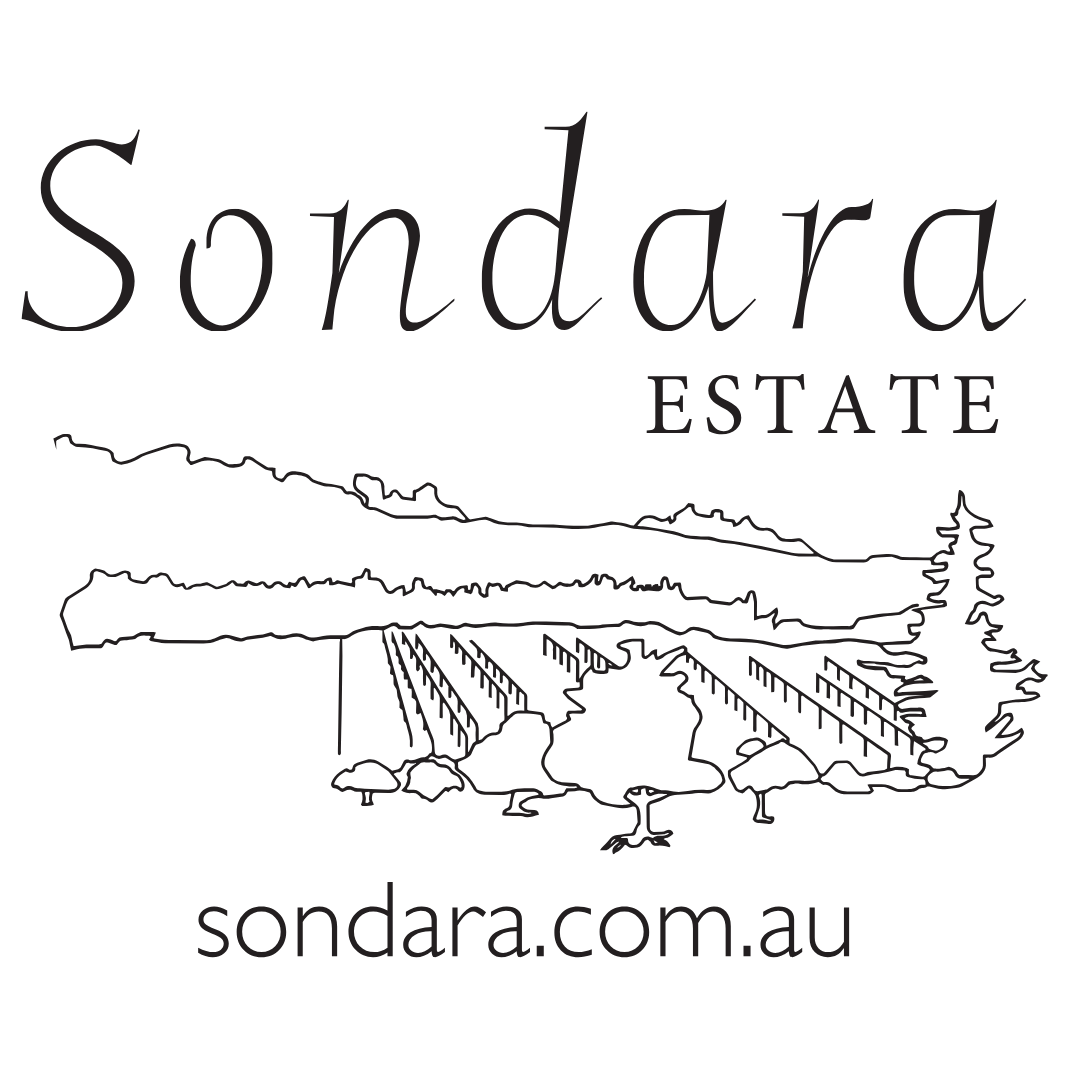 Sondara Copy 11